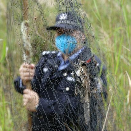 繁育财务岗职责核心是什么？