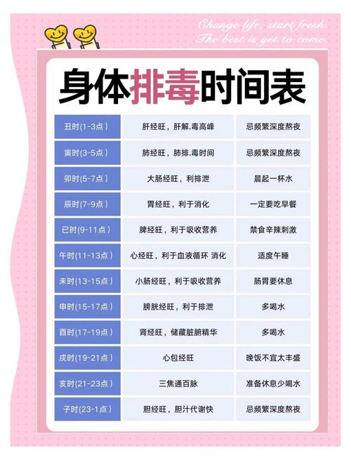 都有哪些养生项目