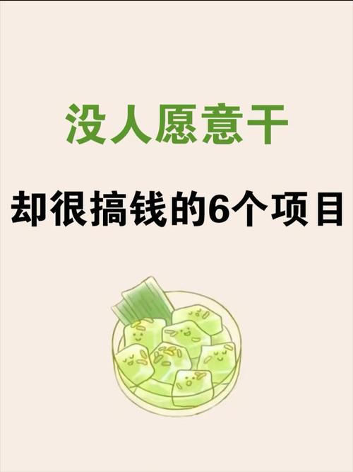 哪些中介项目赚钱