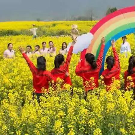 春金集团到底怎么样? 春金集团到底怎么样?