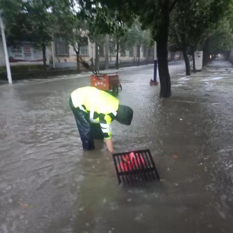 招聘储备岗位职责