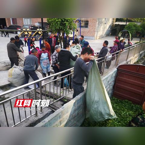 茶园管理岗位职责具体包含哪些核心内容? 茶园管理岗位职责具体包含哪些核心内容?