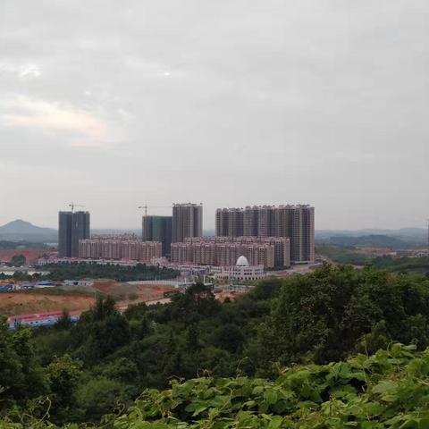 洗涤人员岗位职责