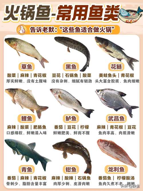 火锅水产有哪些