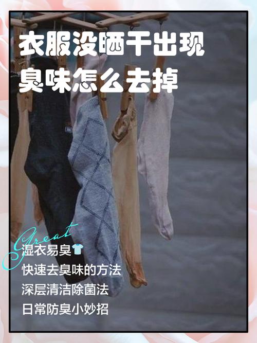 哪些衣物无法烘干