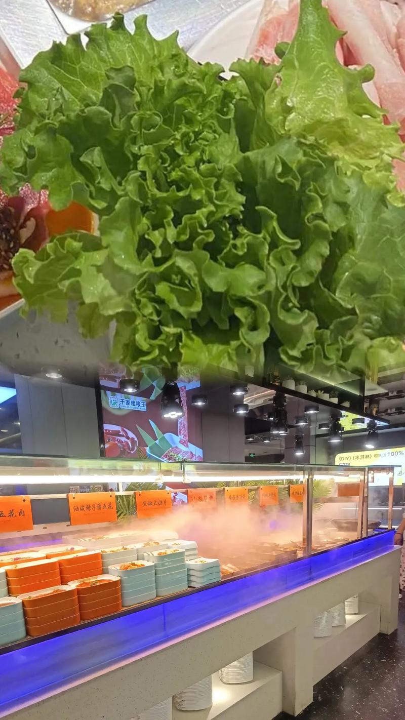 粗粮加盟有哪些