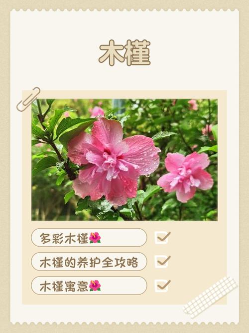 木槿生活北京哪些