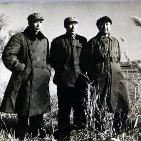 茶业企业岗位职责具体如何划分？