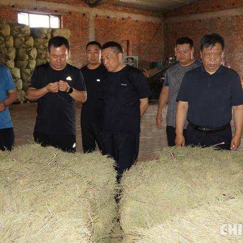 制药医学岗位职责