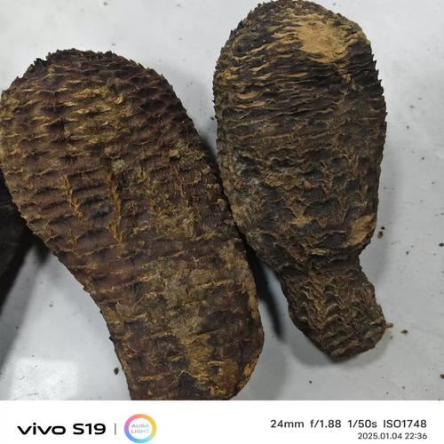 新疆补品有哪些