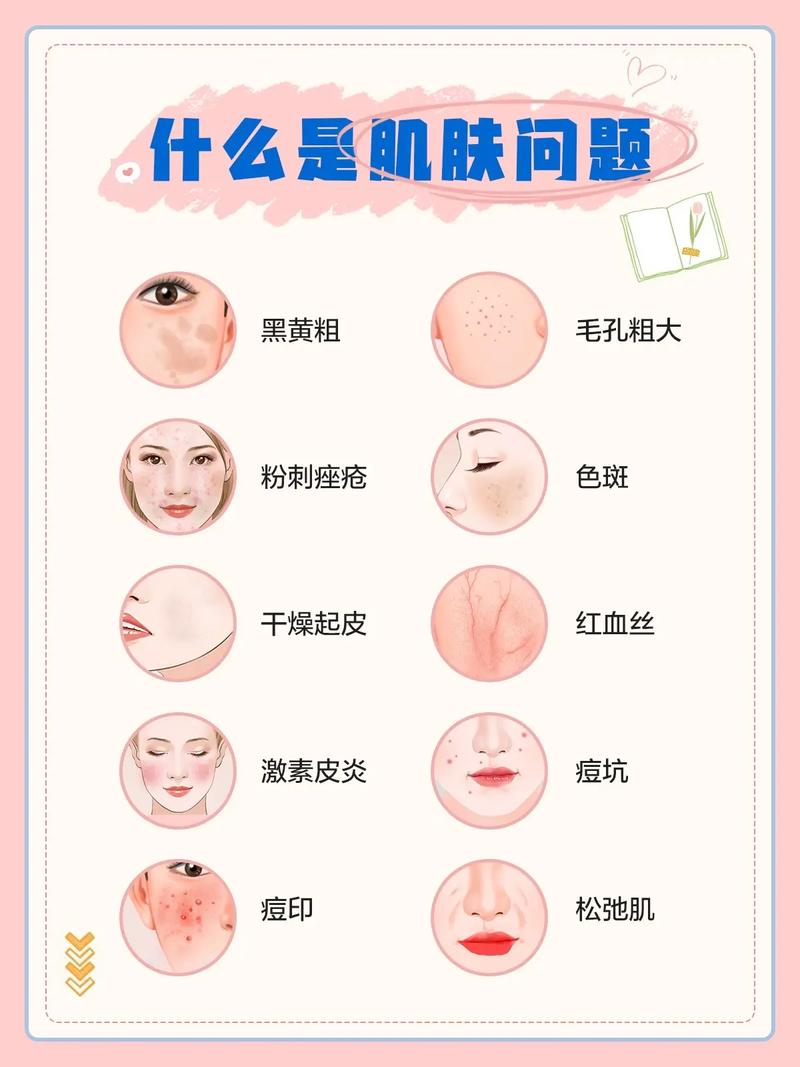 美容类包括哪些