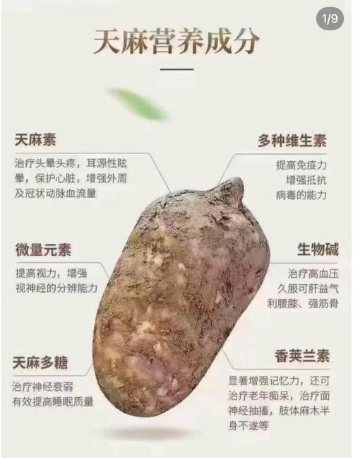 天麻有哪些销路