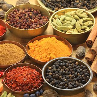 天麻有哪些销路