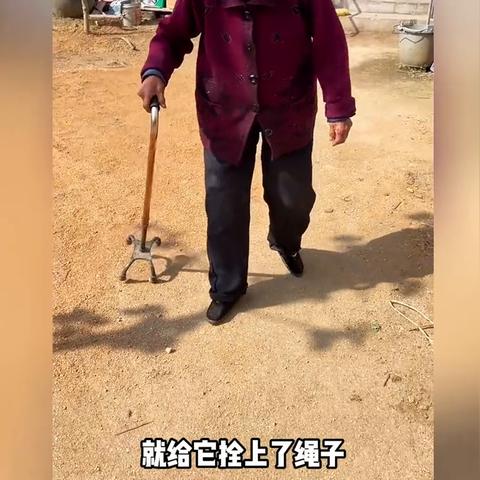 武汉小蜜蜂公司到底怎么样？