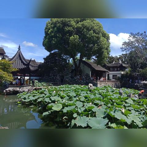 上海怡胜科技靠谱吗？