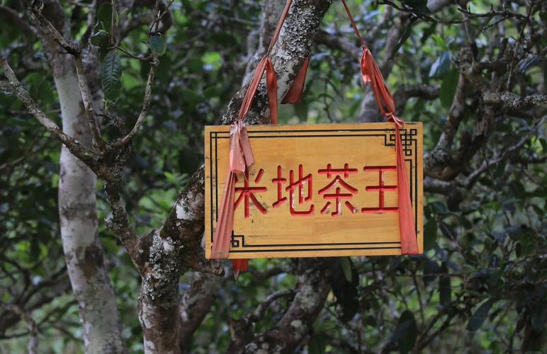 茶谷地哪些好喝