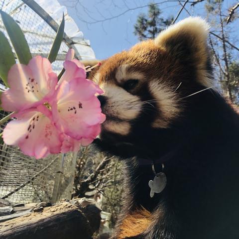 看缸岗位职责 看缸岗位职责