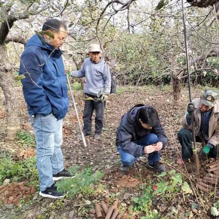 西部钻探岗位职责 西部钻探岗位职责