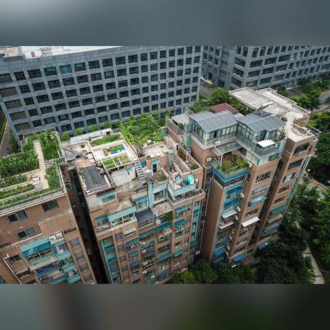 物料助理岗位职责