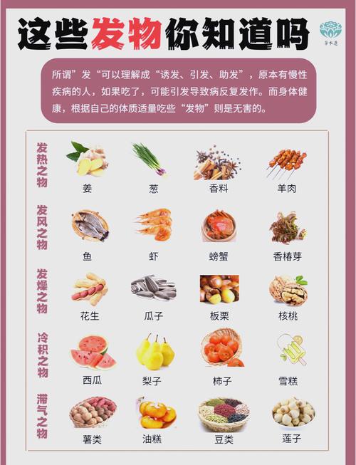 肉食哪些是发