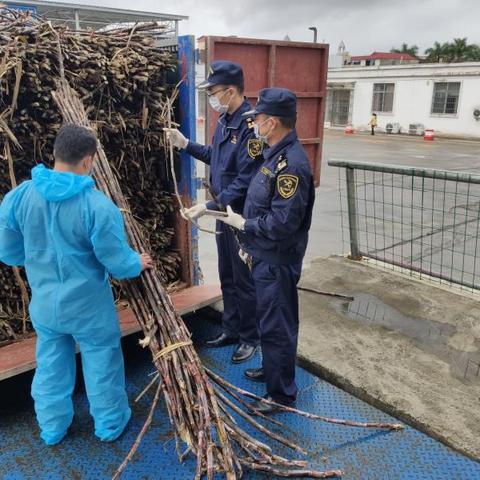 报关的岗位职责 报关的岗位职责