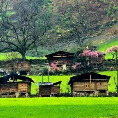 美丽田园有哪些地方值得去？