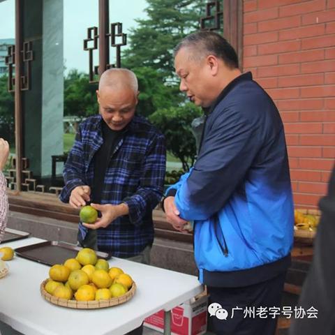 文物征集岗职责核心是啥？