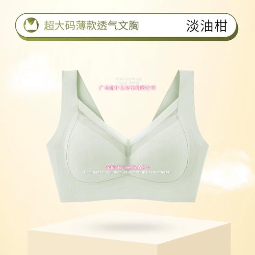 广东哪些品牌内衣