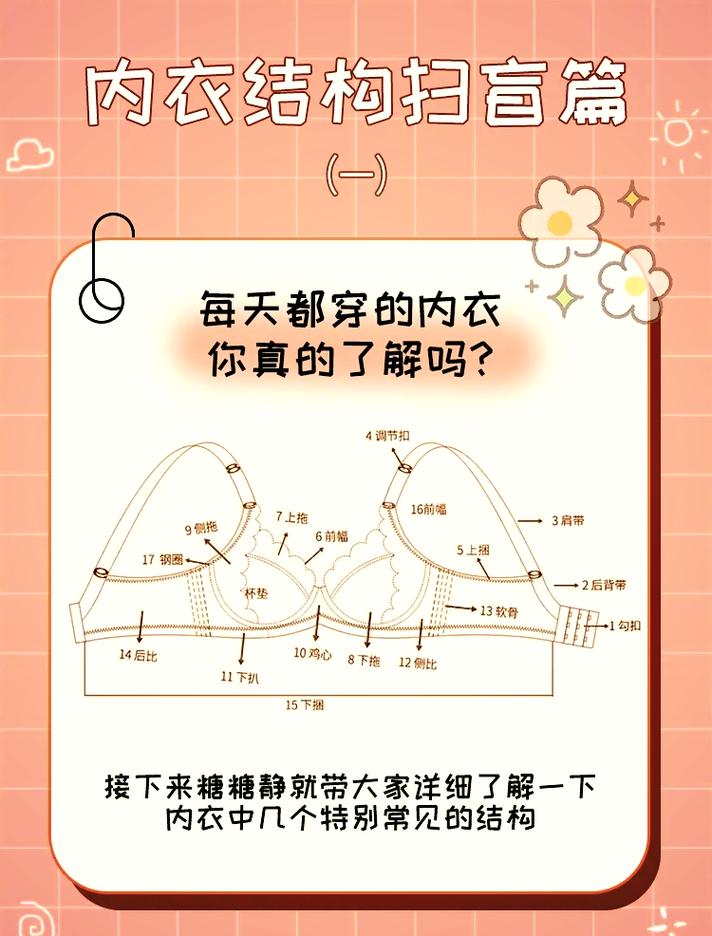 文胸有哪些组成