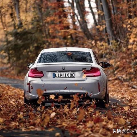 保险续保岗位职责具体包含哪些核心内容? 保险续保岗位职责具体包含哪些核心内容?