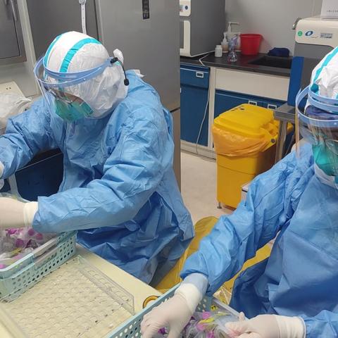 主任协理岗位职责具体包含哪些核心内容？