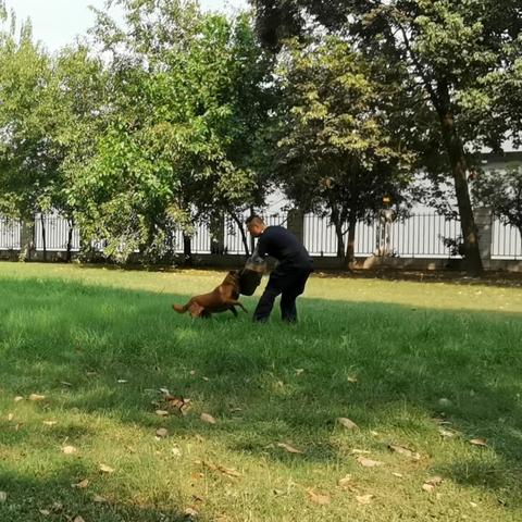 训导员岗位职责