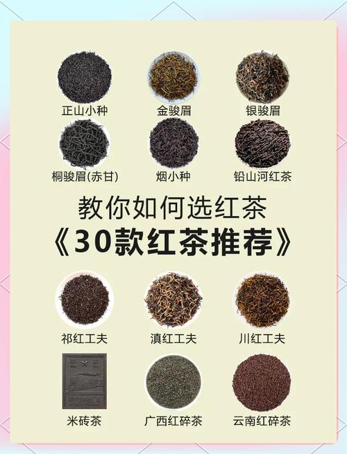 红茶有哪些代理