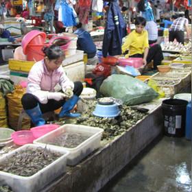 采购岗位职责如何高效执行？