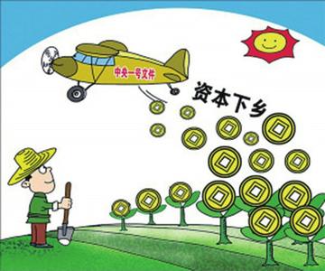 农业项目能做哪些