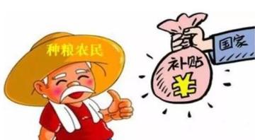 农业项目能做哪些