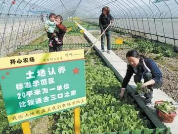 农业项目能做哪些