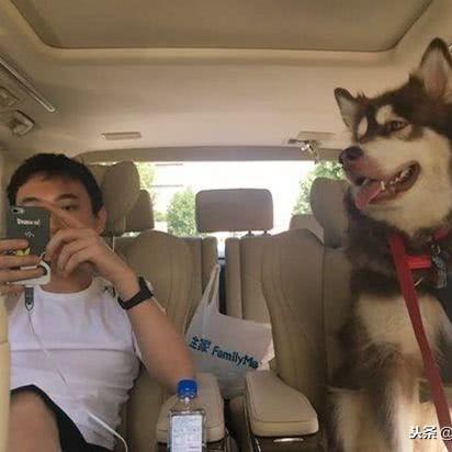 酒吧安保具体职责有哪些？