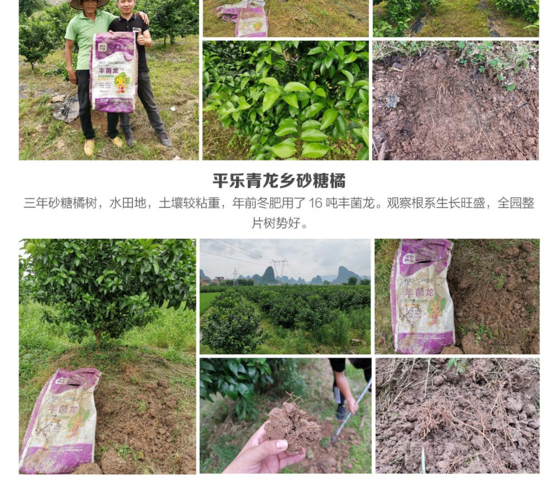 夏天靠哪些致富