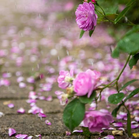 合肥有哪些店值得去？