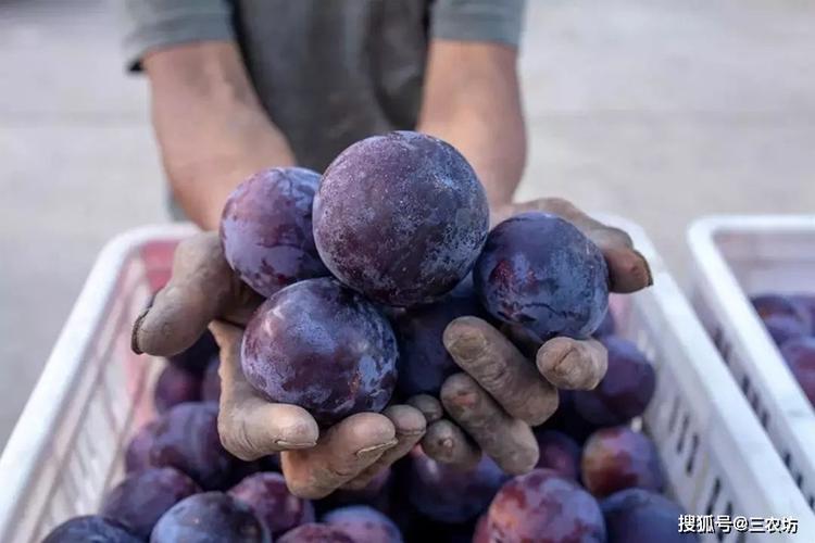 哪些产品容易滞销