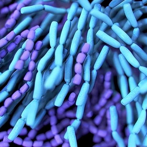 PCR主管的核心职责具体包括哪些？