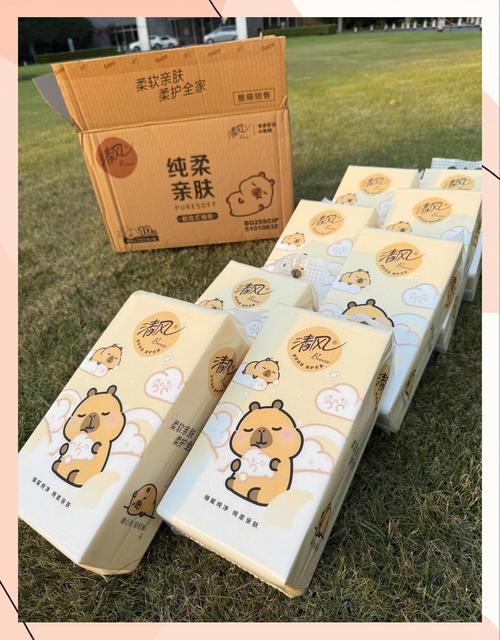 有哪些共享纸巾