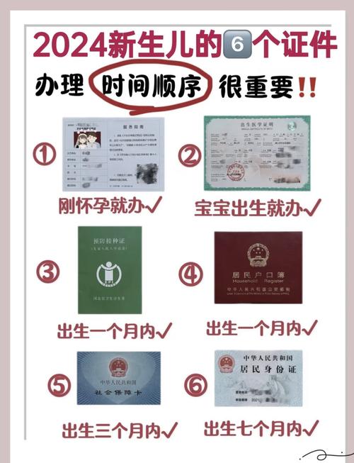 宝宝办哪些证