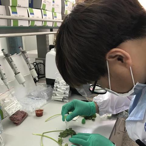 工厂检验岗位职责具体有哪些? 工厂检验岗位职责具体有哪些?