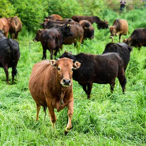 预制场岗位职责具体有哪些? 预制场岗位职责具体有哪些?