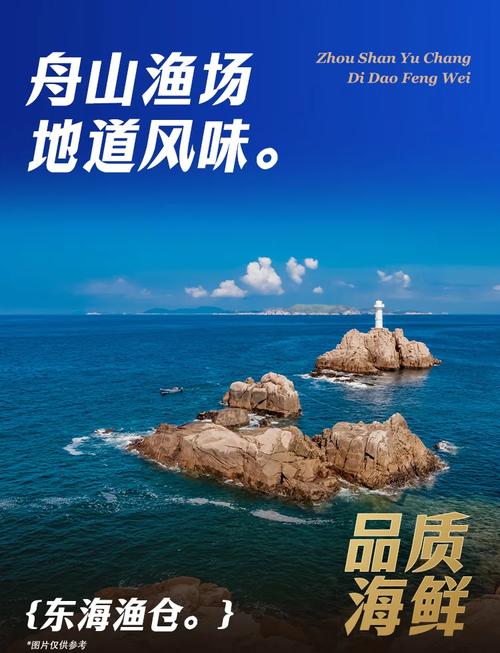 舟山合适哪些创业