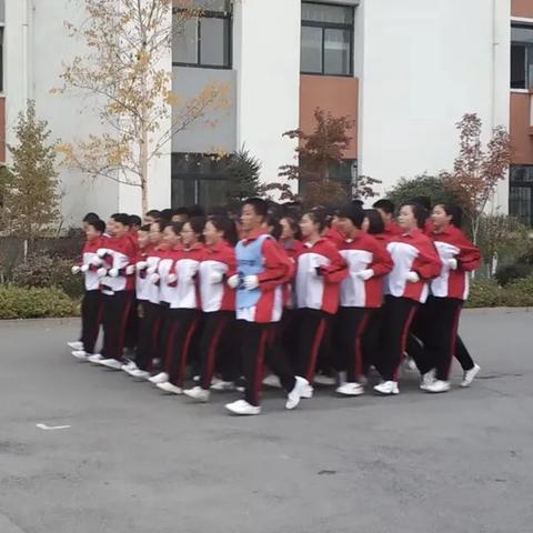 教师岗位职责指南具体包含哪些核心内容？