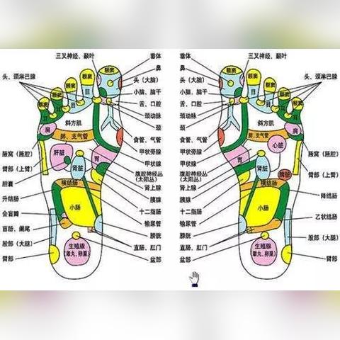 睡眠技师具体职责与核心能力要求是什么？