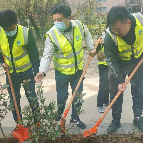 中建合肥分公司待遇发展如何？